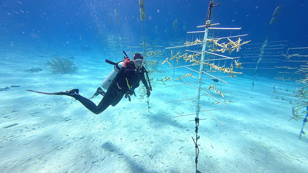 Bonaire
